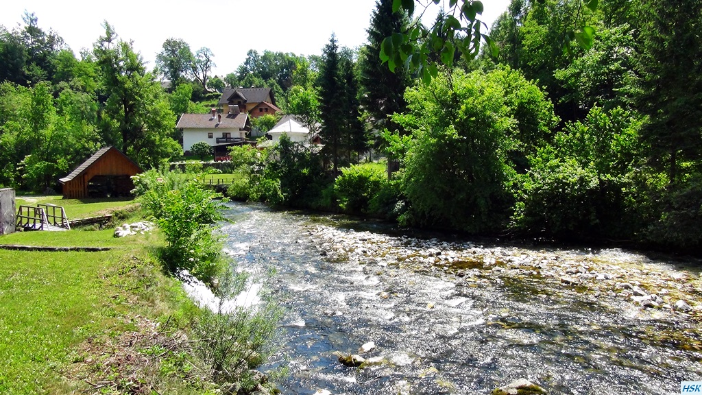 Fliegenfischen in der Radovna im Juni 2015