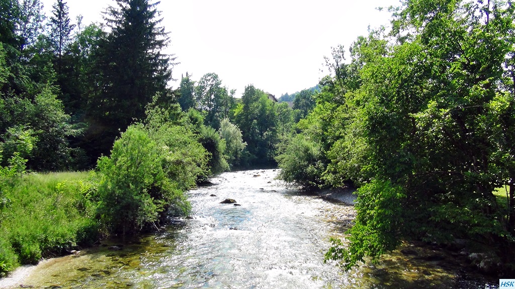 Fliegenfischen in der Radovna im Juni 2015