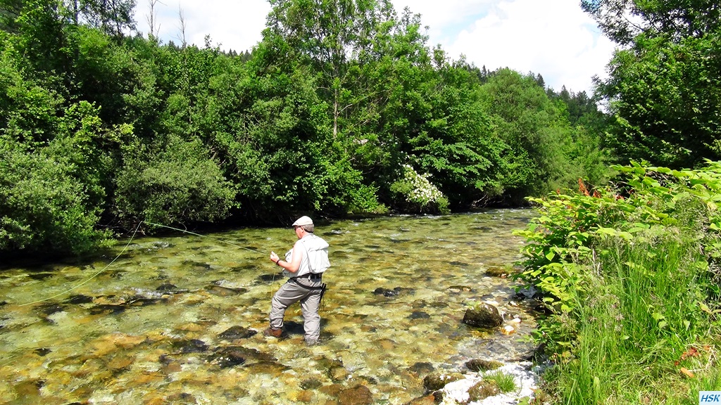 Fliegenfischen in der Radovna im Juni 2015