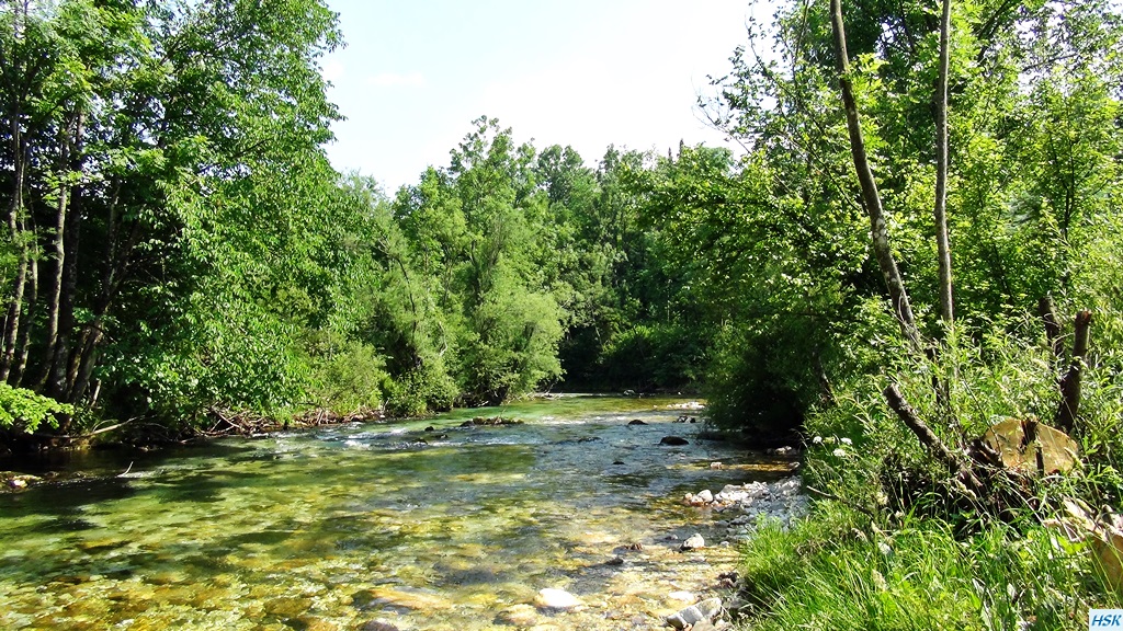 Fliegenfischen in der Radovna im Juni 2015