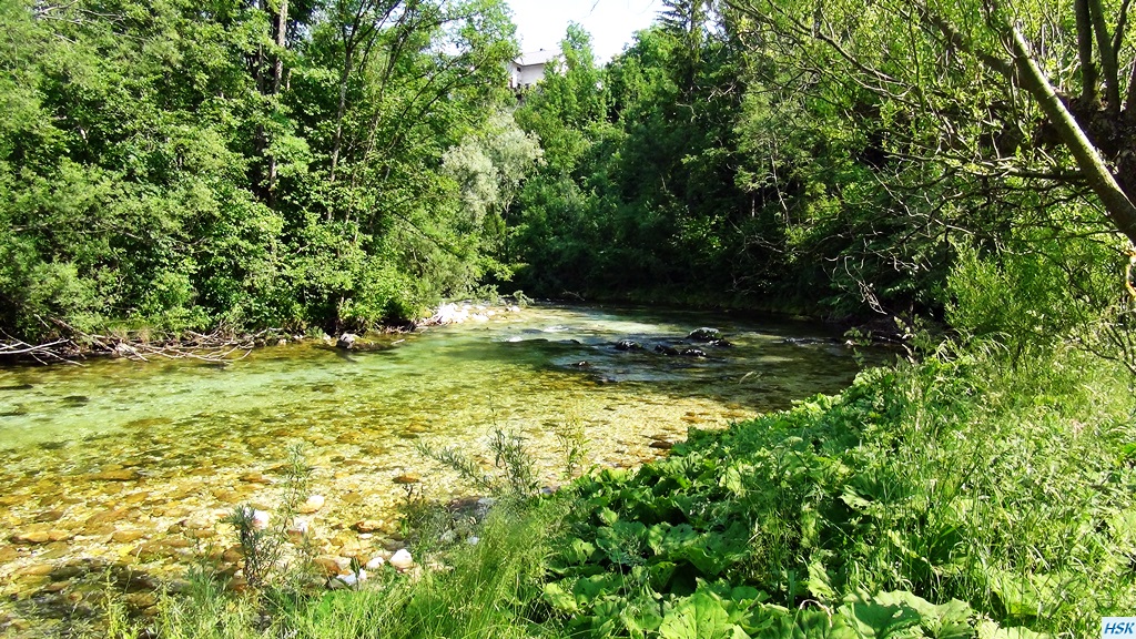 Fliegenfischen in der Radovna im Juni 2015