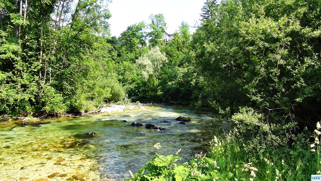 Fliegenfischen in der Radovna im Juni 2015