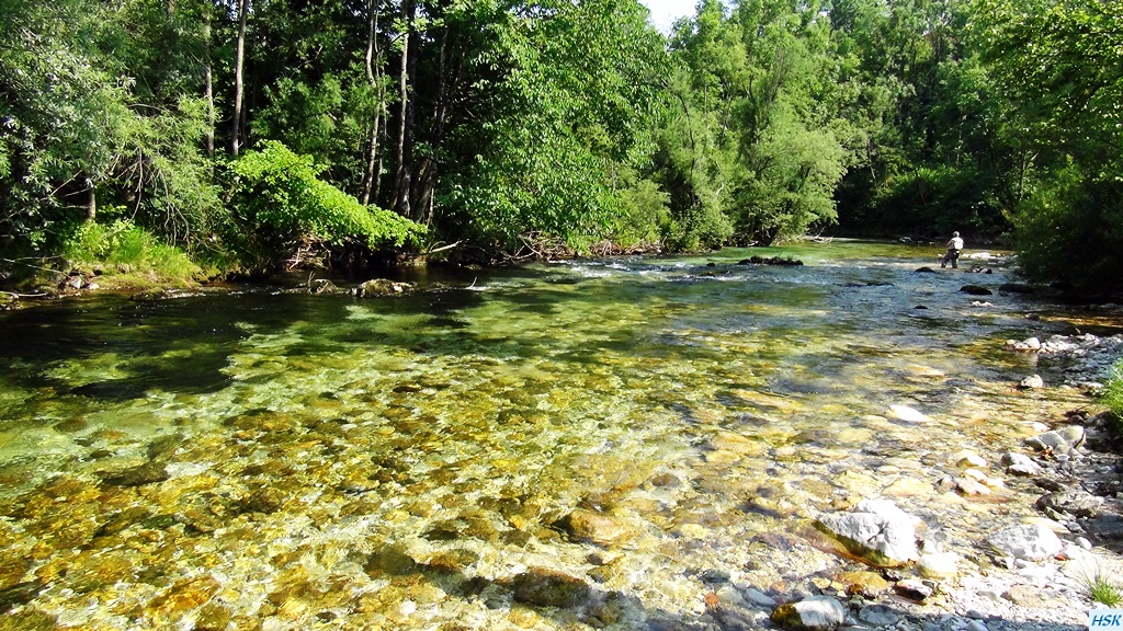 Fliegenfischen in der Radovna im Juni 2015