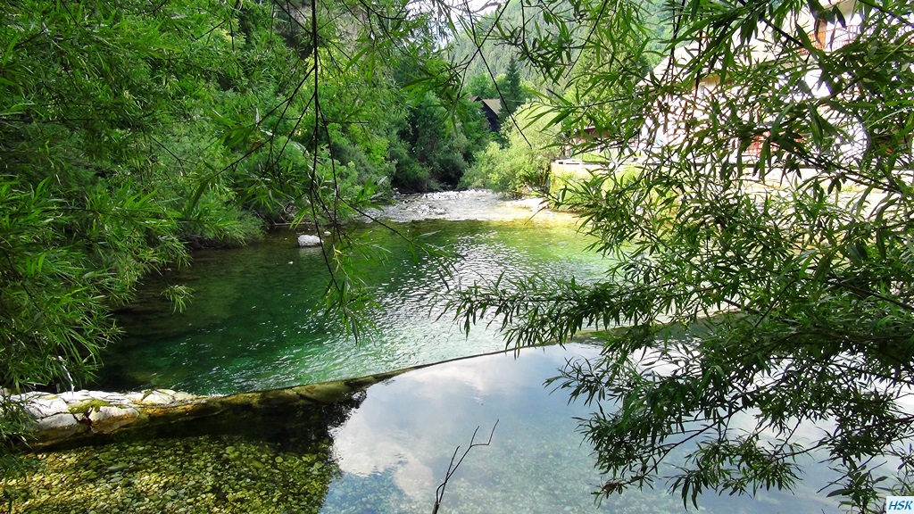 Fliegenfischen in der Radovna im Juni 2015