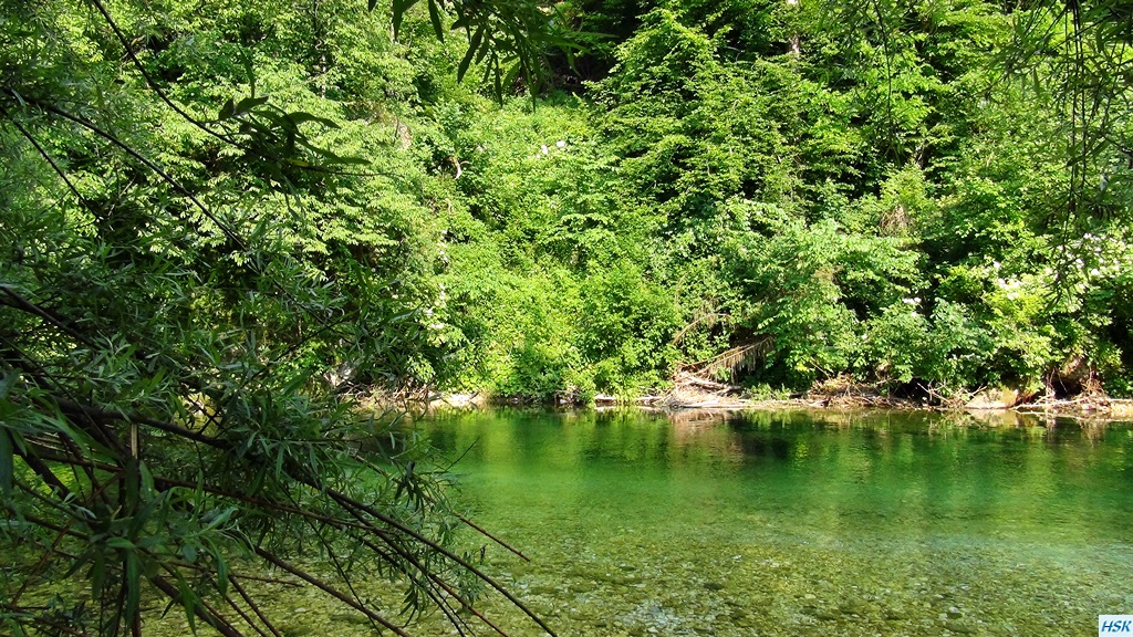 Fliegenfischen in der Radovna im Juni 2015