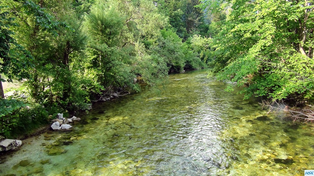 Fliegenfischen in der Radovna im Juni 2015