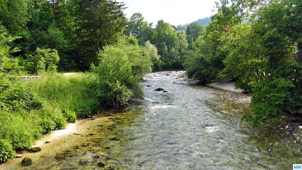 Fliegenfischen in der Radovna im Juni 2015