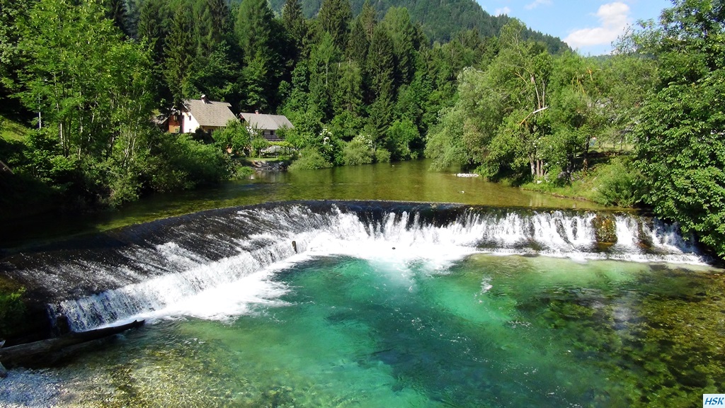 Fliegenfischen in der Radovna im Juni 2015