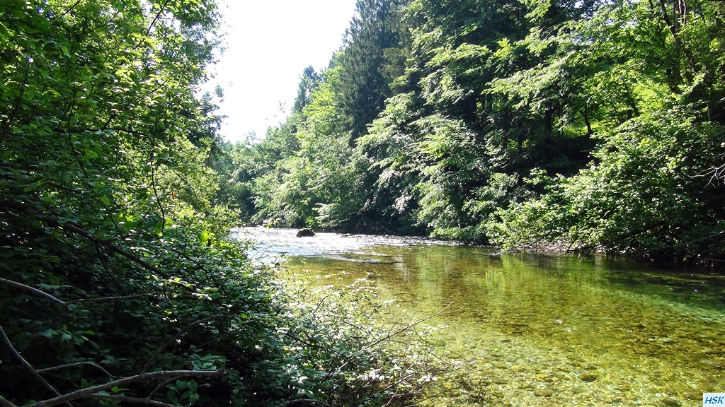 Fliegenfischen in der Radovna im Juni 2015