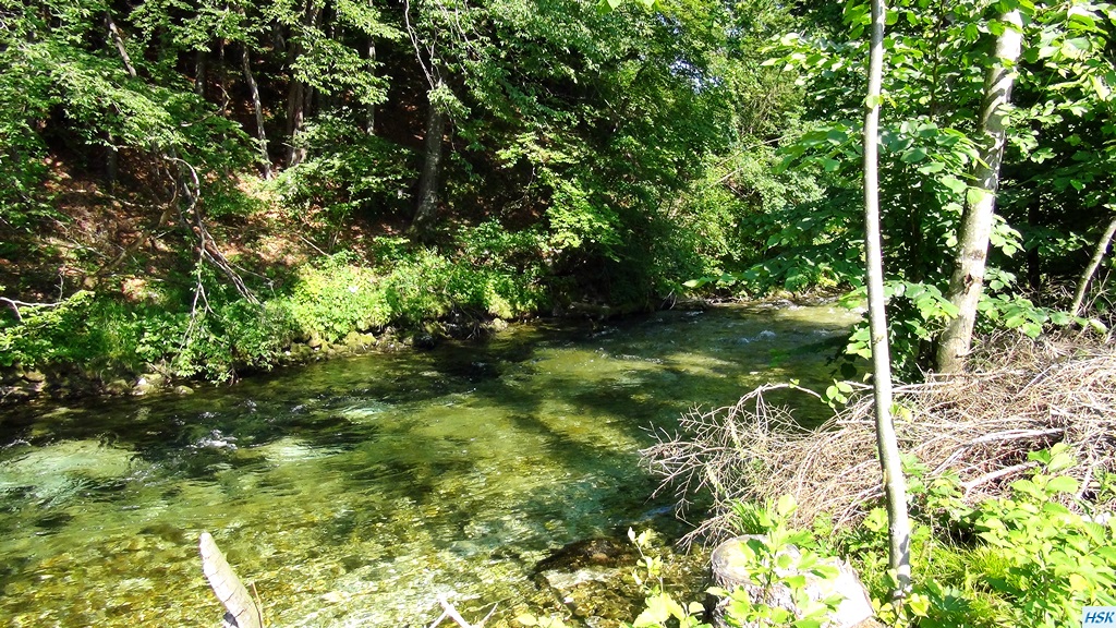 Fliegenfischen in der Radovna im Juni 2015