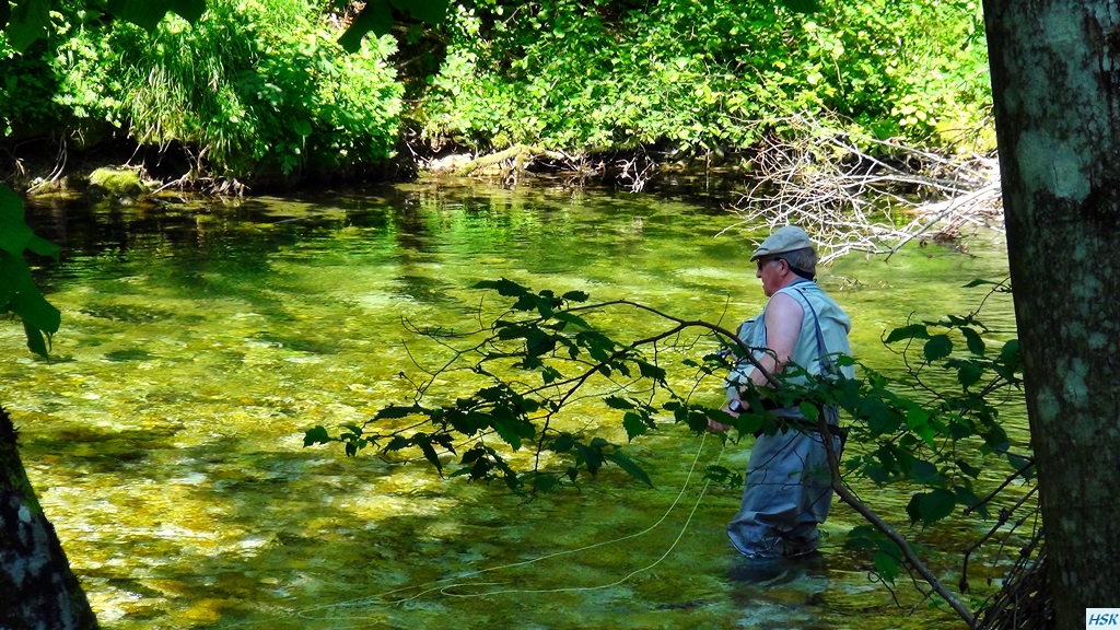 Fliegenfischen in der Radovna im Juni 2015