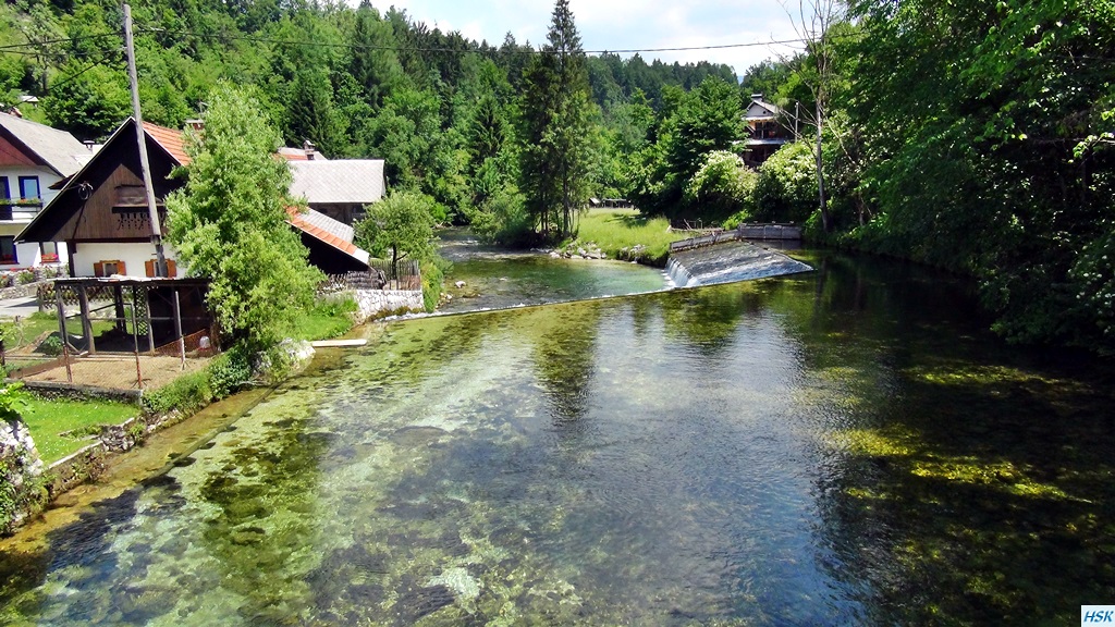 Fliegenfischen in der Radovna im Juni 2015