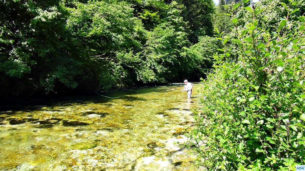 Fliegenfischen in der Radovna im Juni 2015