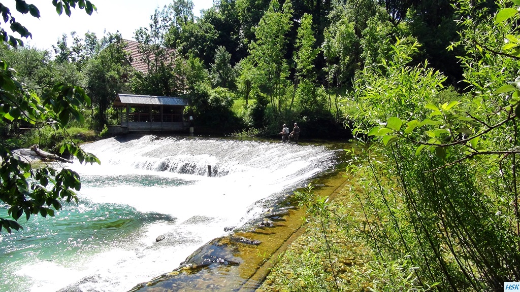 Fliegenfischen in der Radovna im Juni 2015