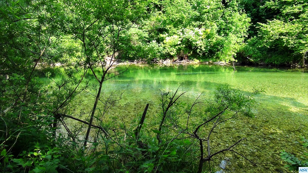 Fliegenfischen in der Radovna im Juni 2015