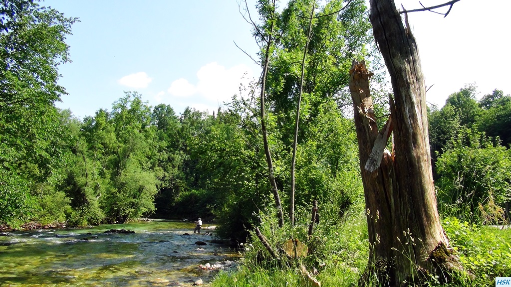 Fliegenfischen in der Radovna im Juni 2015