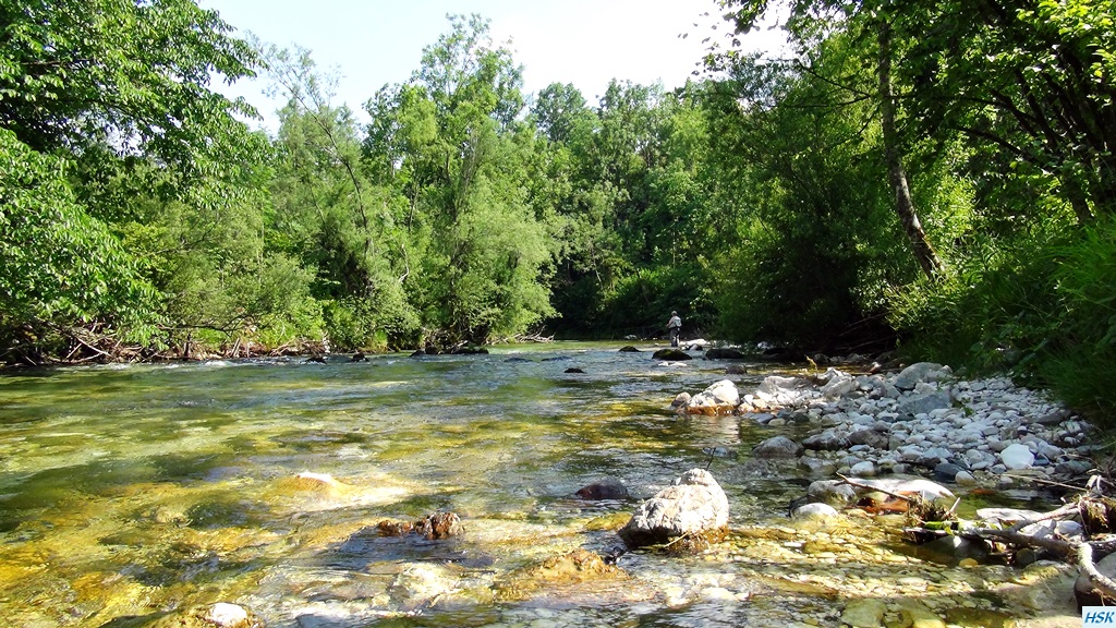 Fliegenfischen in der Radovna im Juni 2015