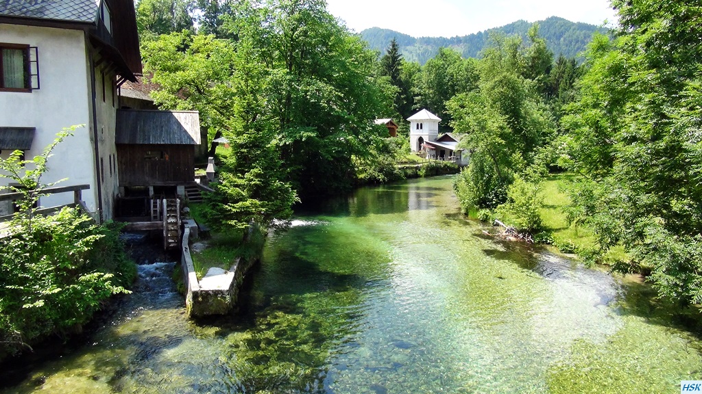 Fliegenfischen in der Radovna im Juni 2015