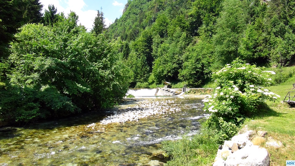 Fliegenfischen in der Radovna im Juni 2015