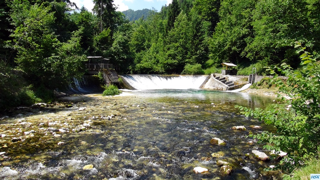 Fliegenfischen in der Radovna im Juni 2015