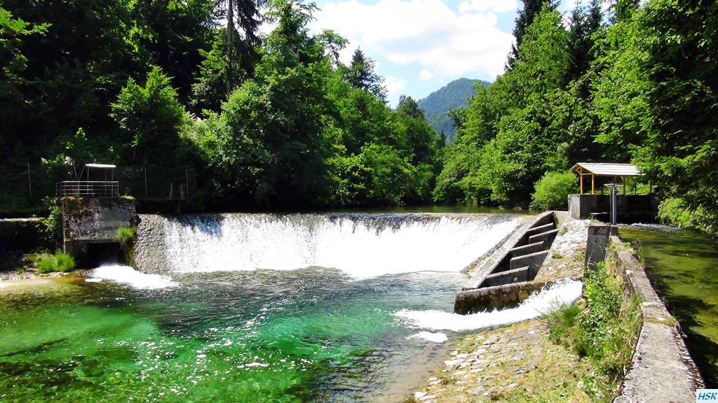 Fliegenfischen in der Radovna im Juni 2015