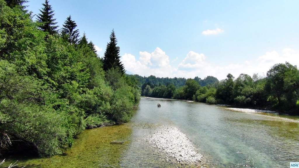 Fliegenfischen in der Sava Bohinjka im Juni 2015