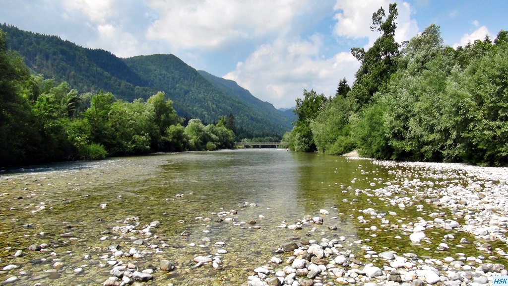 Fliegenfischen in der Sava Bohinjka im Juni 2015