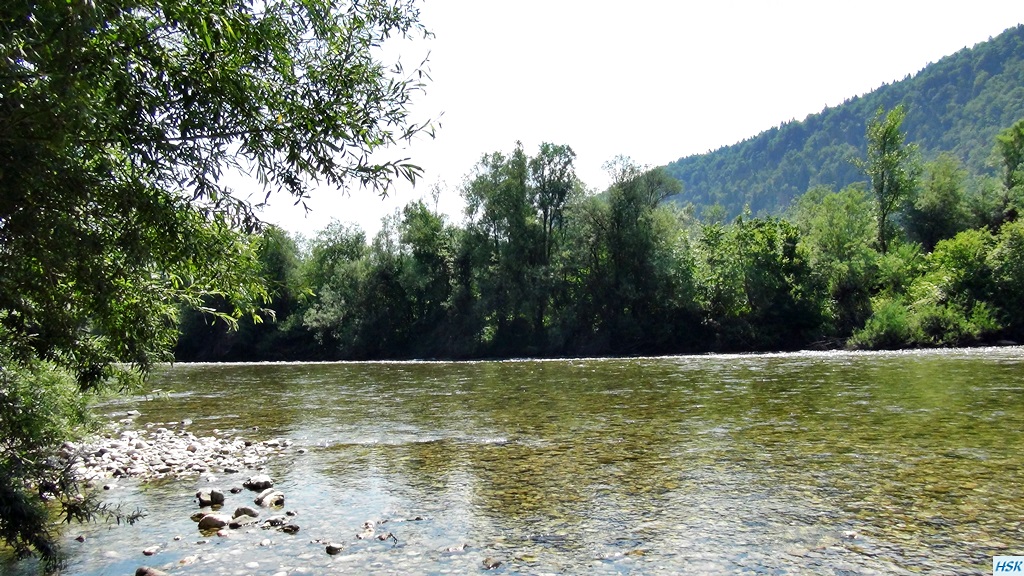 Fliegenfischen in der Sava Bohinjka im Juni 2015