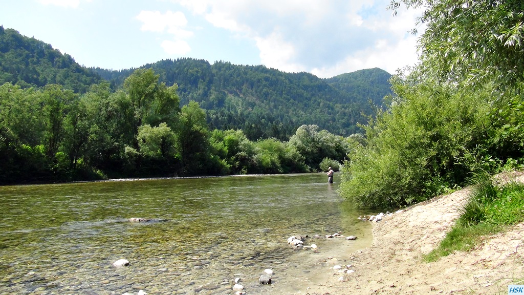 Fliegenfischen in der Sava Bohinjka im Juni 2015