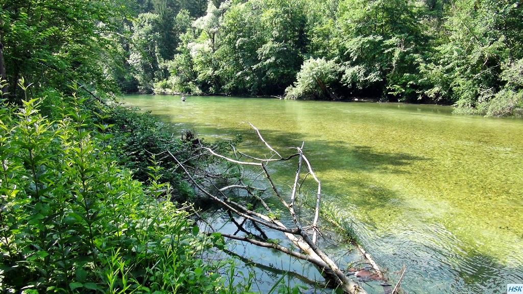 Fliegenfischen in der Sava Bohinjka im Juni 2015