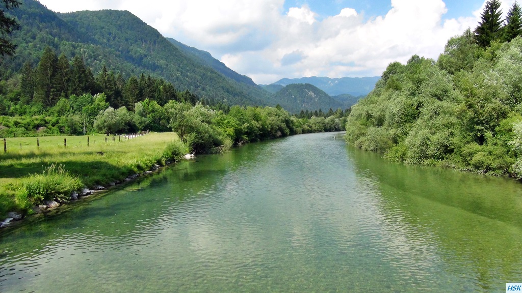 Fliegenfischen in der Sava Bohinjka im Juni 2015