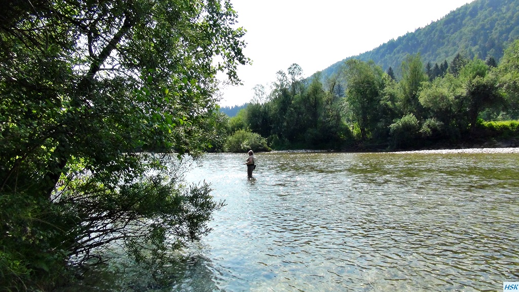 Fliegenfischen in der Sava Bohinjka im Juni 2015