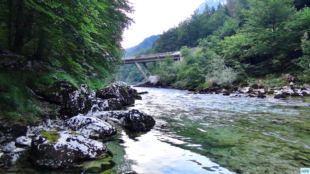 Fliegenfischen in der Sava Bohinjka im Juni 2015