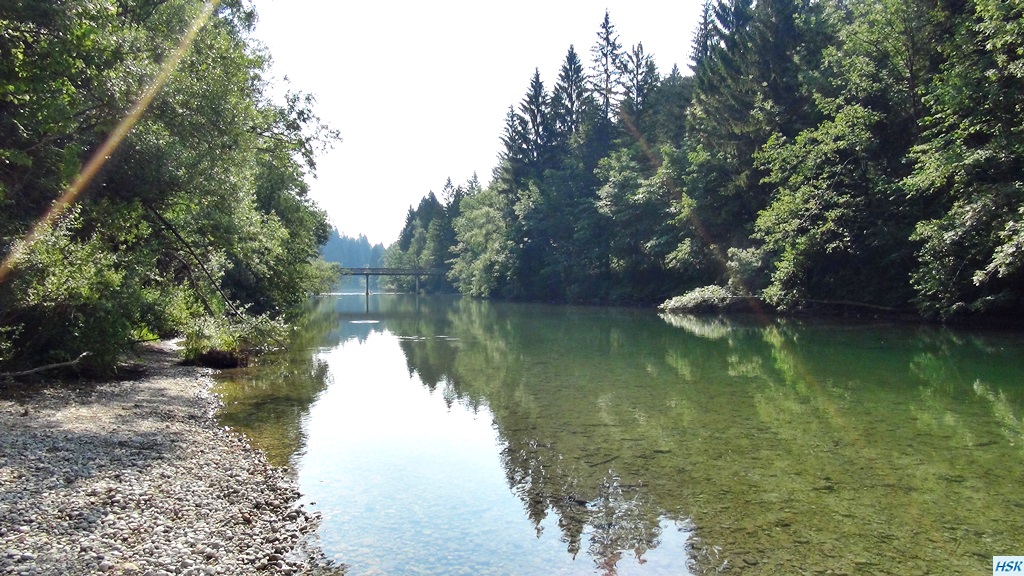 Fliegenfischen in der Sava Bohinjka im Juni 2015