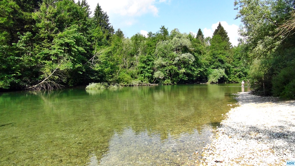 Fliegenfischen in der Sava Bohinjka im Juni 2015