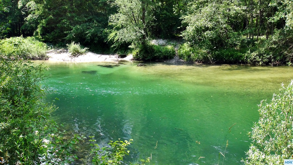 Fliegenfischen in der Sava Bohinjka im Juni 2015