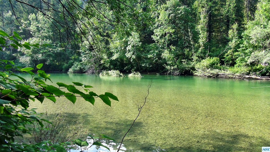 Fliegenfischen in der Sava Bohinjka im Juni 2015