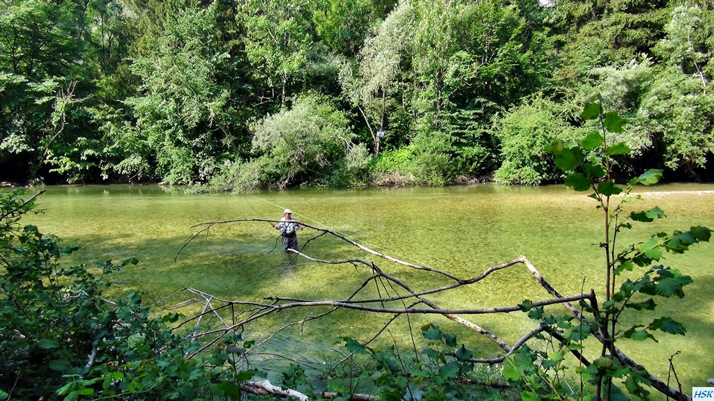 Fliegenfischen in der Sava Bohinjka im Juni 2015