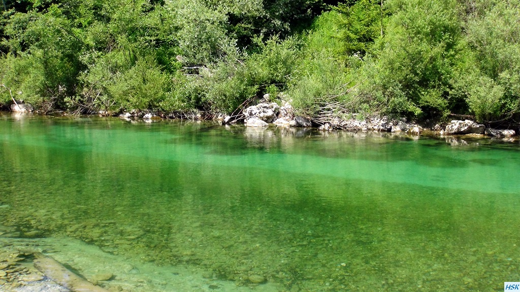 Fliegenfischen in der Sava Bohinjka im Juni 2015