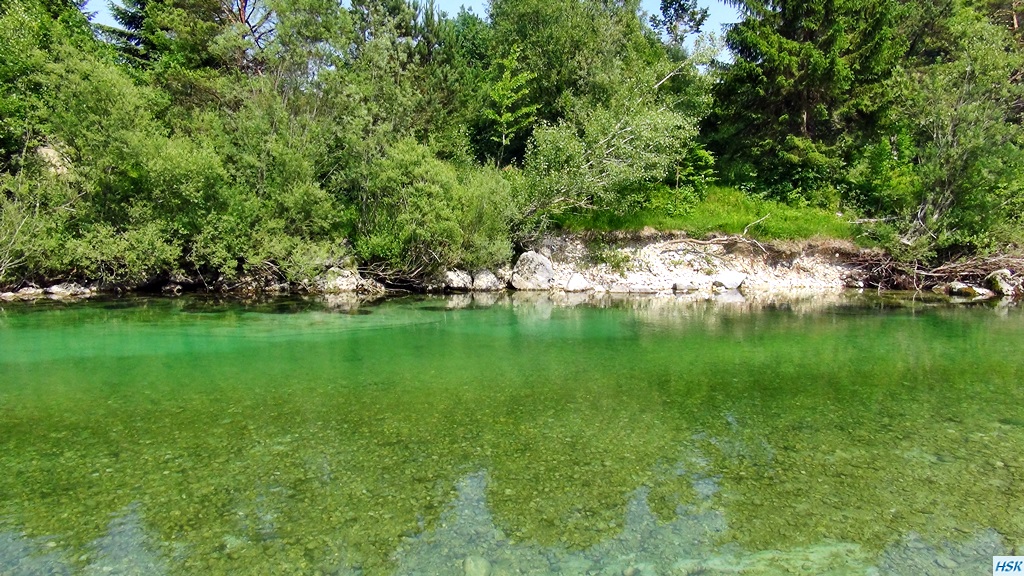 Fliegenfischen in der Sava Bohinjka im Juni 2015