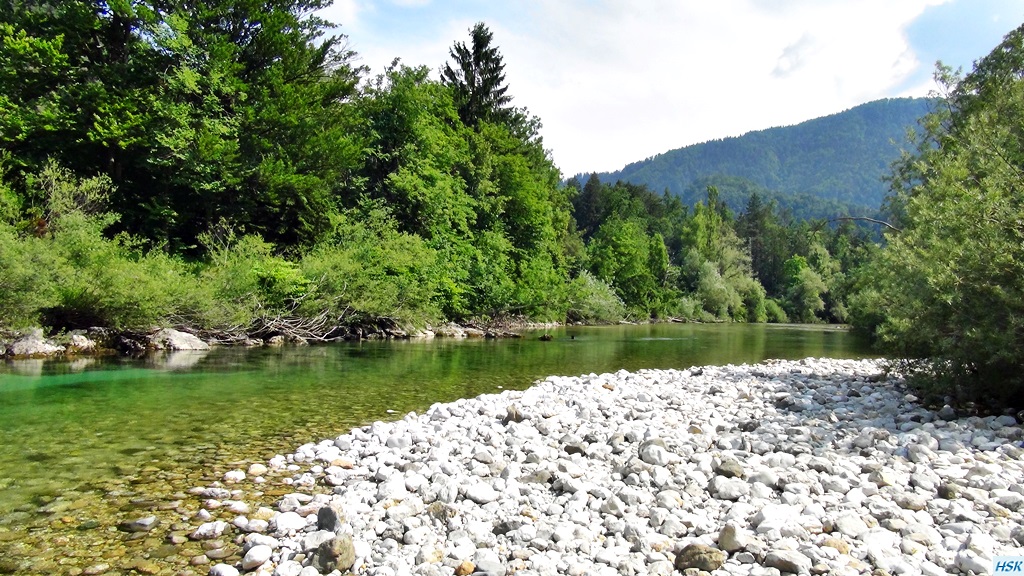 Fliegenfischen in der Sava Bohinjka im Juni 2015