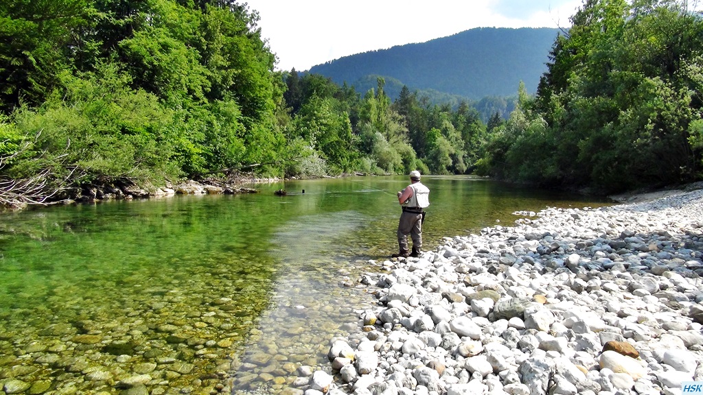 Fliegenfischen in der Sava Bohinjka im Juni 2015