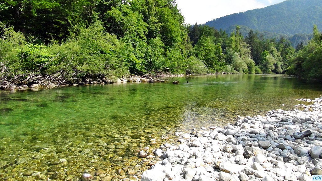 Fliegenfischen in der Sava Bohinjka im Juni 2015