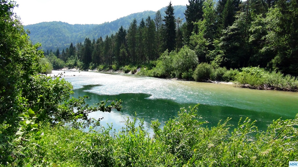 Fliegenfischen in der Sava Bohinjka im Juni 2015