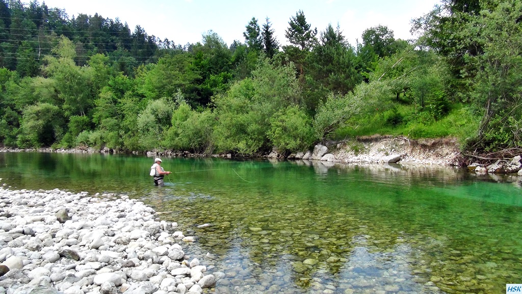 Fliegenfischen in der Sava Bohinjka im Juni 2015