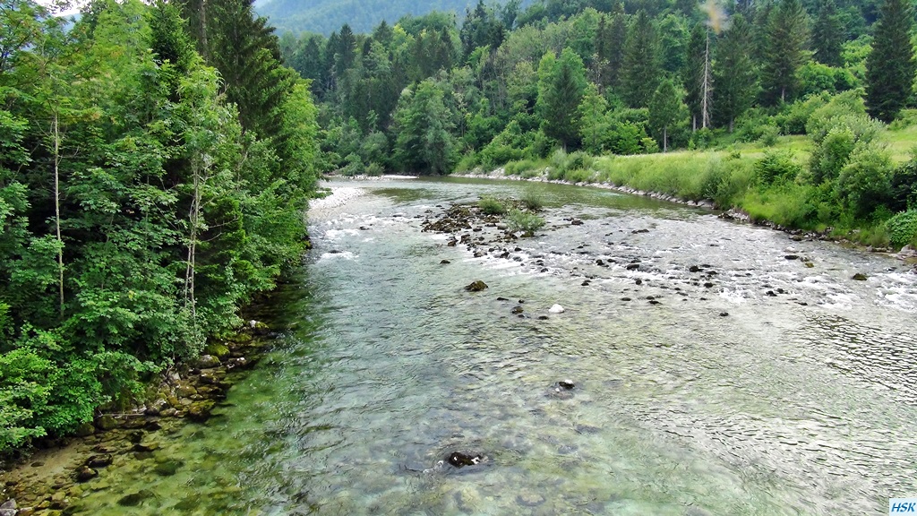 Fliegenfischen in der Sava Bohinjka im Juni 2015