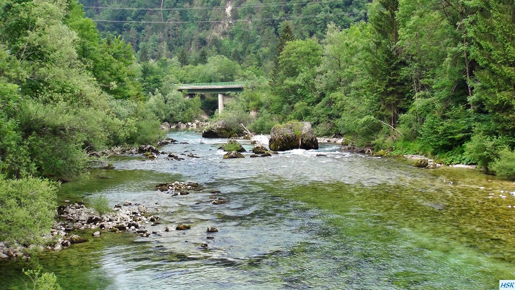 Fliegenfischen in der Sava Bohinjka im Juni 2015