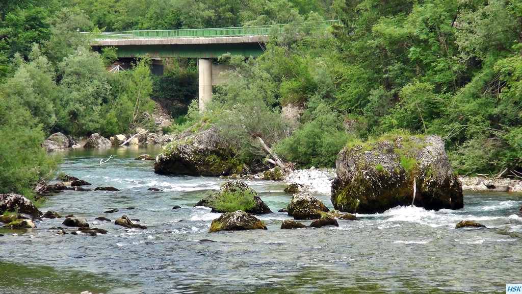 Fliegenfischen in der Sava Bohinjka im Juni 2015