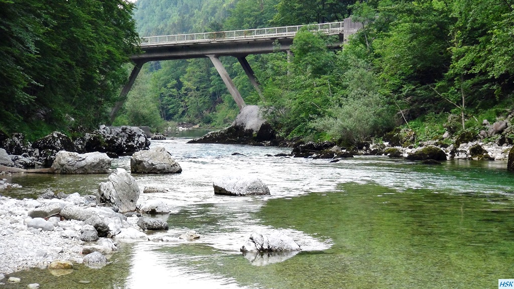 Fliegenfischen in der Sava Bohinjka im Juni 2015