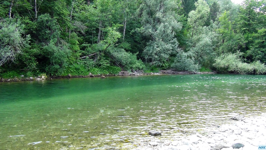 Fliegenfischen in der Sava Bohinjka im Juni 2015